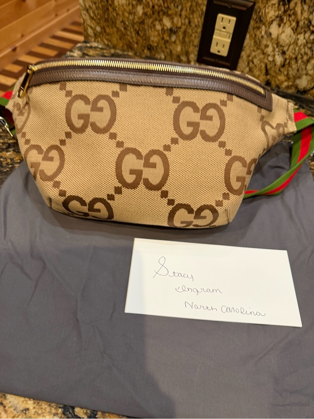 Gucci Beige Canvas Interior Pouch with Gold-Tone Zipper Detail